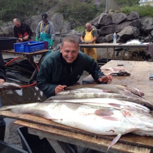 IMG_1372.jpeg IMG_1372.jpeg