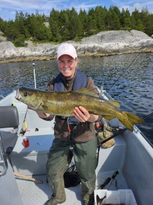 1000071382.jpg 1000071382.jpg