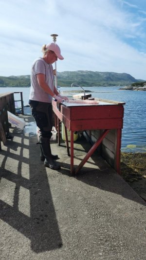 1000071598.jpg 1000071598.jpg