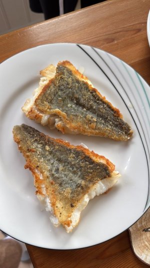 F598B76A-4BB3-4EAA-BAAE-7AB90422E5A3.jpeg F598B76A-4BB3-4EAA-BAAE-7AB90422E5A3.jpeg