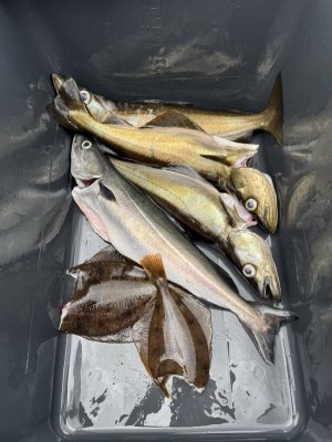 IMG_1184.jpeg IMG_1184.jpeg