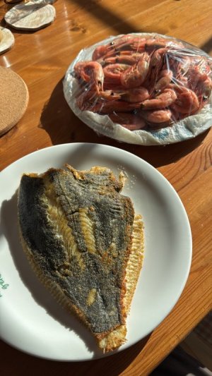 C7809524-1F1E-45F4-8439-75C9CF16088D.jpeg C7809524-1F1E-45F4-8439-75C9CF16088D.jpeg