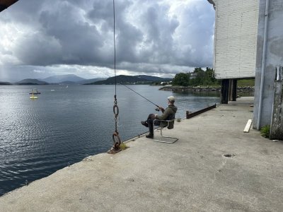 IMG_7234.jpeg IMG_7234.jpeg