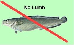 No Lumb.jpg No Lumb.jpg