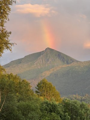 IMG_1218.jpeg IMG_1218.jpeg