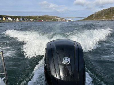 IMG_0351.jpeg IMG_0351.jpeg