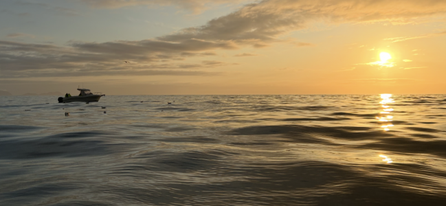 IMG_0414.png IMG_0414.png