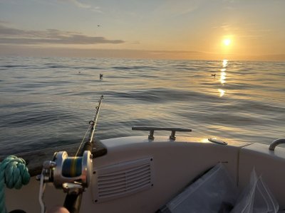 IMG_0415.jpeg IMG_0415.jpeg