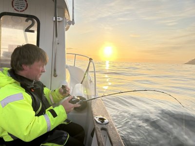 IMG_0427.jpeg IMG_0427.jpeg