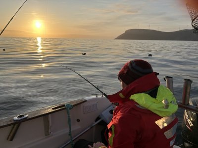 IMG_0419.jpeg IMG_0419.jpeg