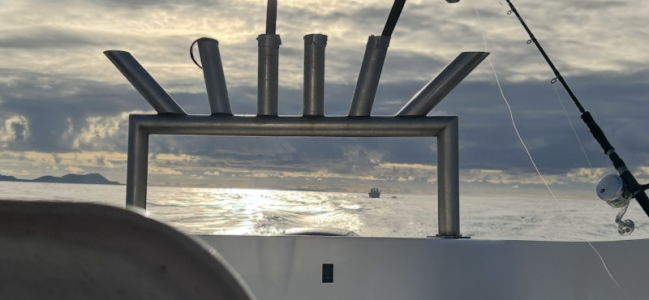 IMG_0669.png IMG_0669.png