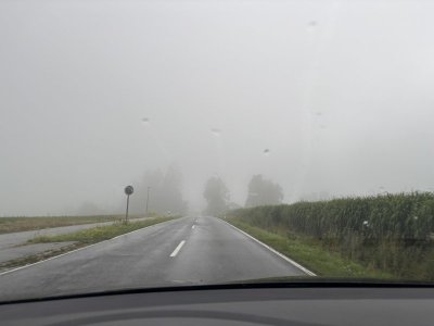 IMG_5124.jpeg