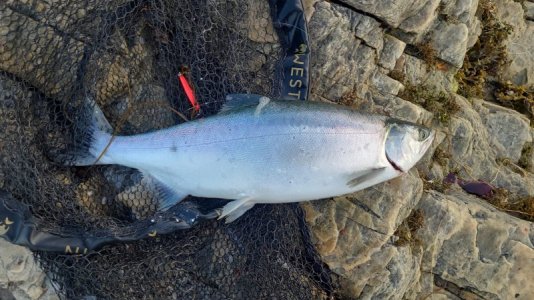 IMG-20250710-WA0000.jpg IMG-20250710-WA0000.jpg