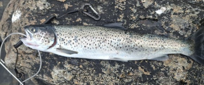 20250710_140258.jpg 20250710_140258.jpg