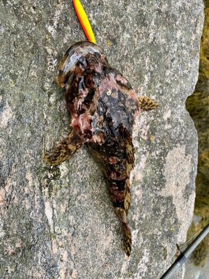 IMG-20250711-WA0035.jpg IMG-20250711-WA0035.jpg