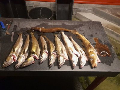 20250712_004110.jpg 20250712_004110.jpg