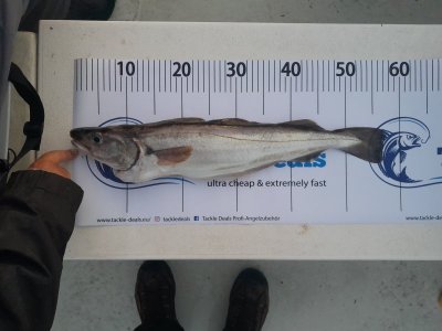 20250711_233030.jpg 20250711_233030.jpg