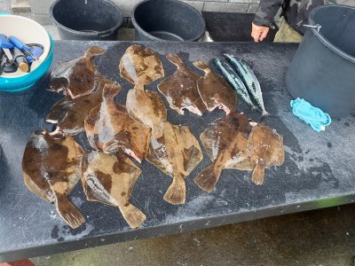 20250710_160142.jpg 20250710_160142.jpg