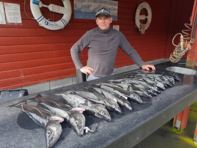 20250709_102307.jpg 20250709_102307.jpg