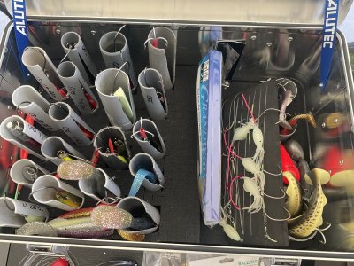 IMG_2039.jpeg IMG_2039.jpeg