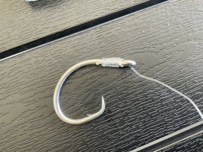 IMG_2038.jpeg IMG_2038.jpeg