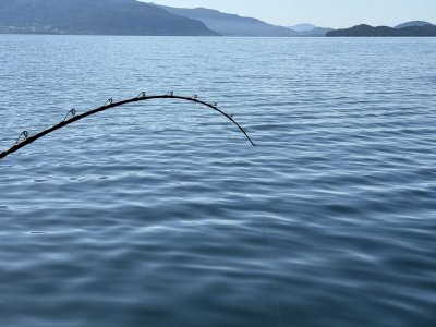 IMG_5973.jpeg IMG_5973.jpeg