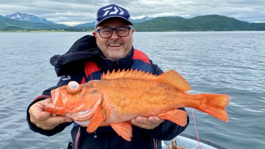 IMG_9659.jpeg IMG_9659.jpeg