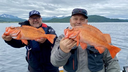 IMG_9660.jpeg IMG_9660.jpeg