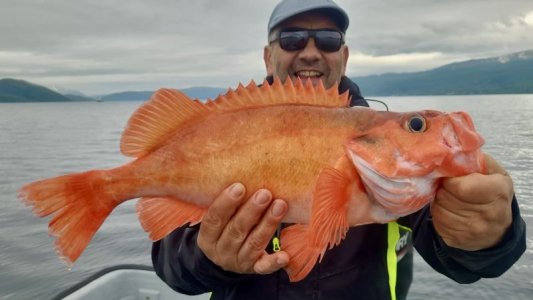 fcf6500a-fd4d-41bd-a8ca-5c1706f27d52.jpeg fcf6500a-fd4d-41bd-a8ca-5c1706f27d52.jpeg