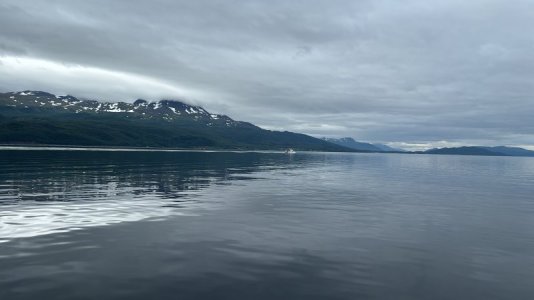 42E92EEC-850E-4705-A78B-E26EEA0DE34D.jpeg 42E92EEC-850E-4705-A78B-E26EEA0DE34D.jpeg