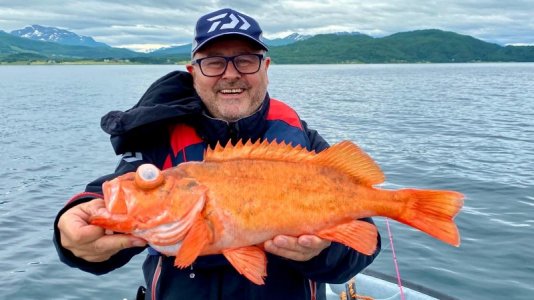 7051272e-708f-4bbf-919f-bed87a2788d7.jpeg 7051272e-708f-4bbf-919f-bed87a2788d7.jpeg