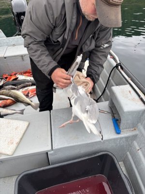 IMG_5202.jpeg IMG_5202.jpeg