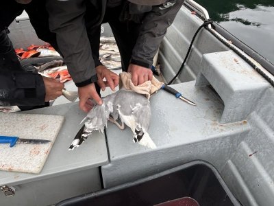 IMG_5203.jpeg IMG_5203.jpeg