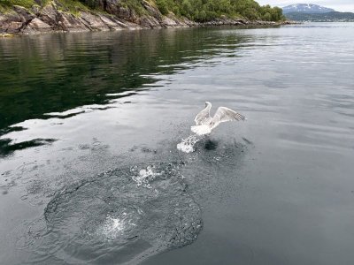 IMG_5204.jpeg IMG_5204.jpeg