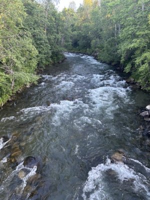 IMG_5244.jpeg