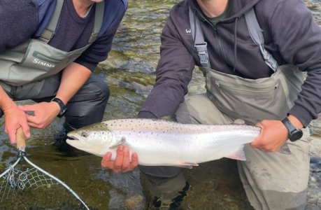 IMG_9530 - Kopie.JPEG