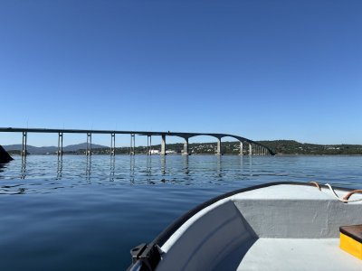 IMG_5289.jpeg