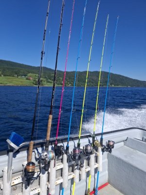 20250715_122647.jpg