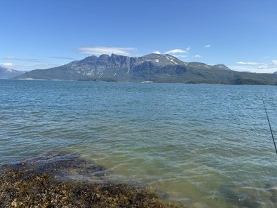 IMG_5303.jpeg