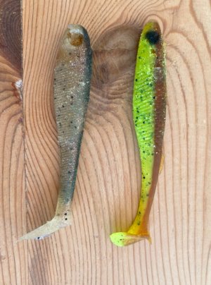 Beste Köder 8-10 cm.jpg