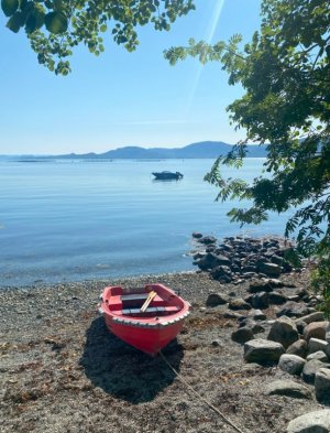 Dingi und Angelboot.jpg