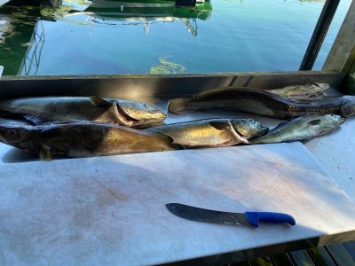 9ebb4fdd-ab3a-4244-a398-cee2d458eb81.jpeg 9ebb4fdd-ab3a-4244-a398-cee2d458eb81.jpeg