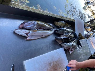 6c20a728-7347-4268-91dc-4da2fde39d03.jpeg 6c20a728-7347-4268-91dc-4da2fde39d03.jpeg