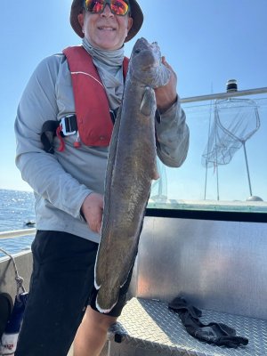 IMG_8629.jpeg IMG_8629.jpeg