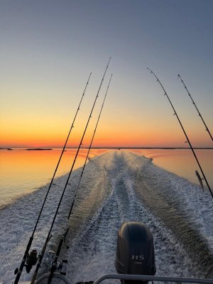 e8ec4b79-faab-40e7-8121-55a0fbd33e27.jpeg e8ec4b79-faab-40e7-8121-55a0fbd33e27.jpeg