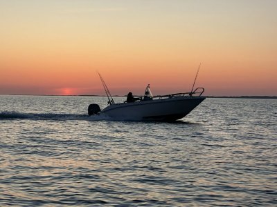 IMG_8617.jpeg IMG_8617.jpeg