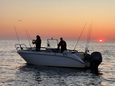 IMG_8614.jpeg IMG_8614.jpeg