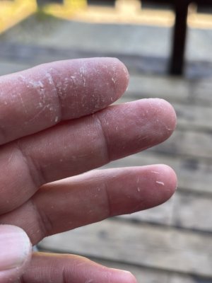 IMG_5404.jpeg IMG_5404.jpeg