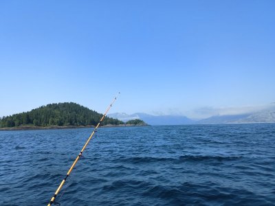 IMG_20250719_142241_043.jpg