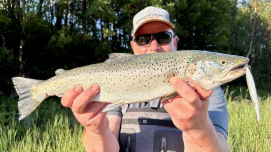 9d56f644-9db7-4371-849b-32fc40faef94.jpeg 9d56f644-9db7-4371-849b-32fc40faef94.jpeg